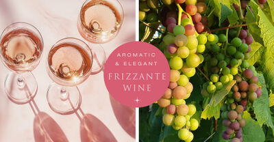 Aromatic & Elegant Frizzante Wine